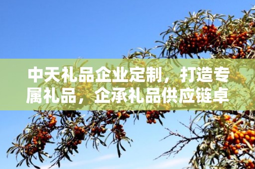 中天礼品企业定制，打造专属礼品，企承礼品供应链卓越服务